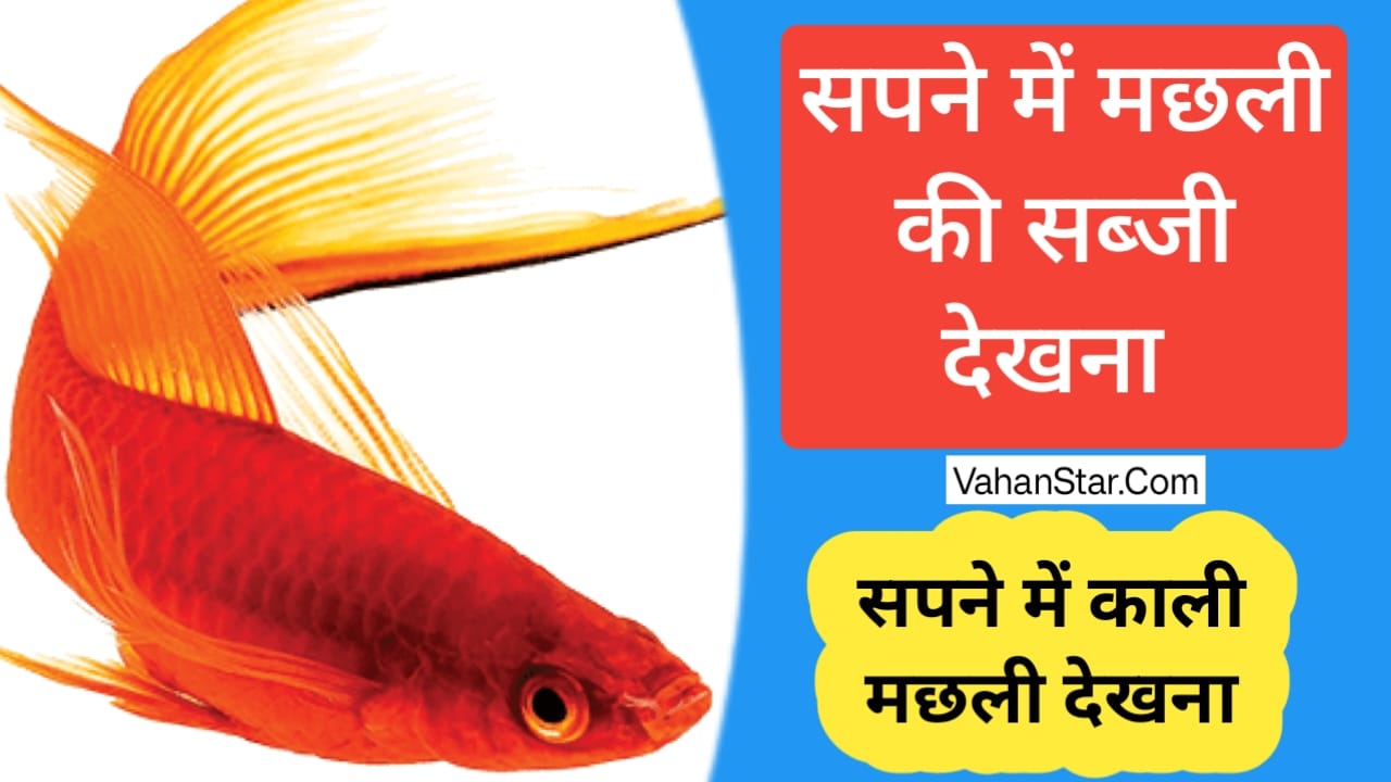 Read more about the article सपने में मछली की सब्जी देखना sapne mein machhali ki sabji dekhna